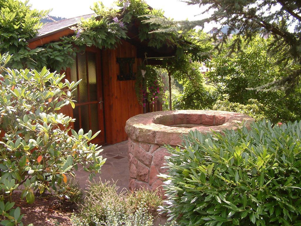 סאסבאכוואלדן Landhaus Schneider מראה חיצוני תמונה